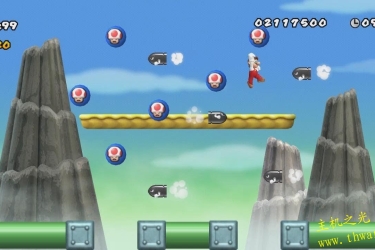新超级马里奥兄弟Wii-WII
