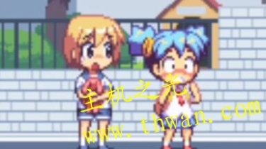 向日葵大进发-NDS