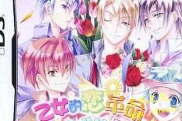 少女恋爱革命DS-NDS