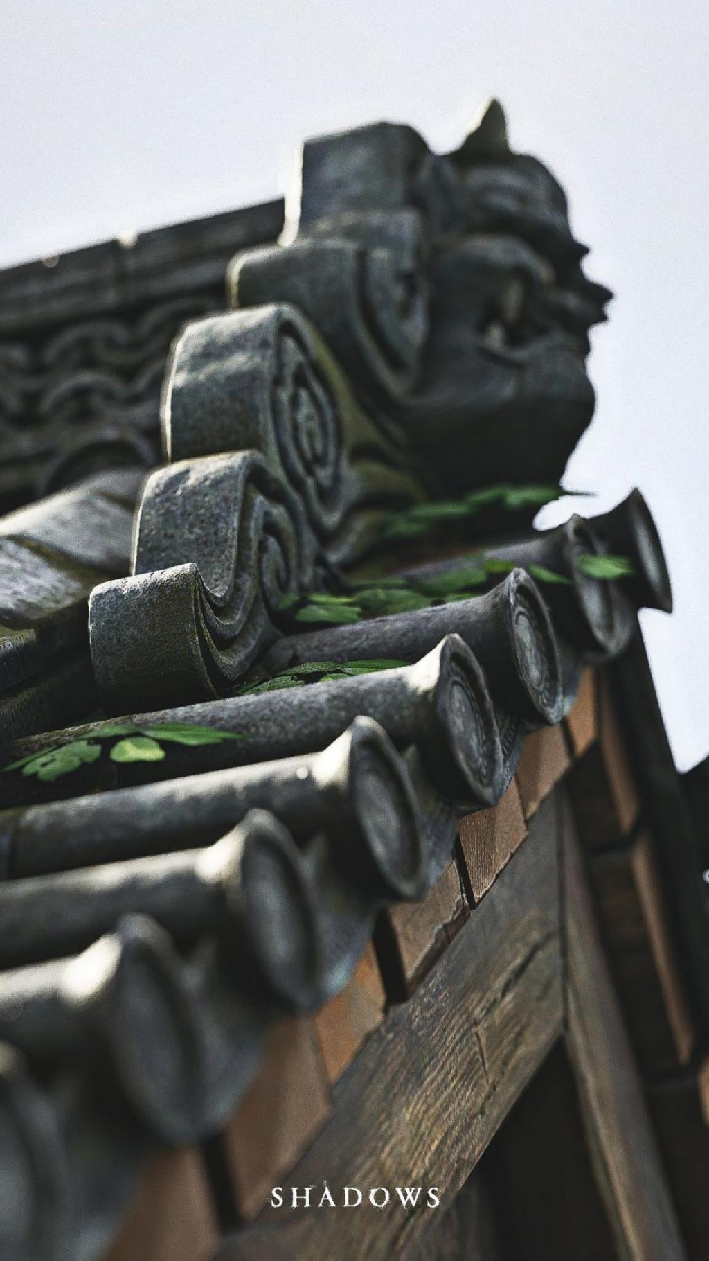 《刺客信条：影》风暴系统获赞 手机和电脑壁纸下载