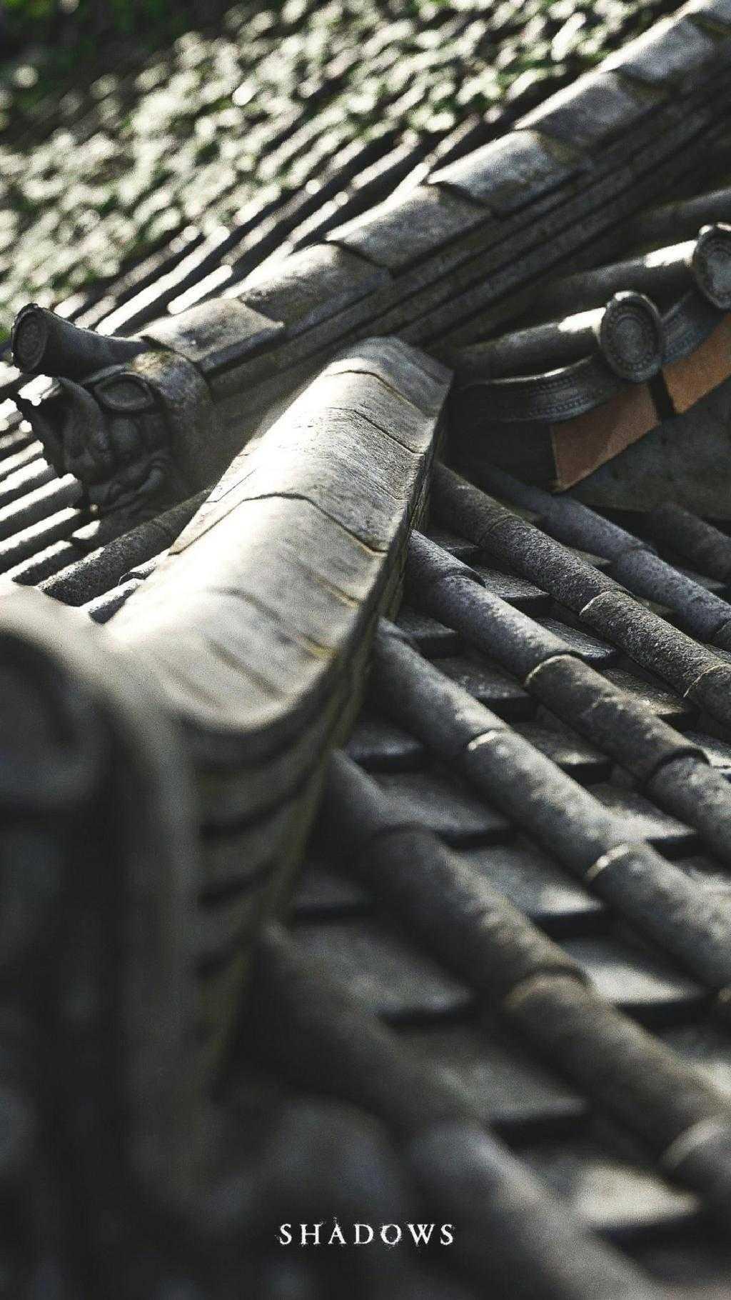 《刺客信条：影》风暴系统获赞 手机和电脑壁纸下载