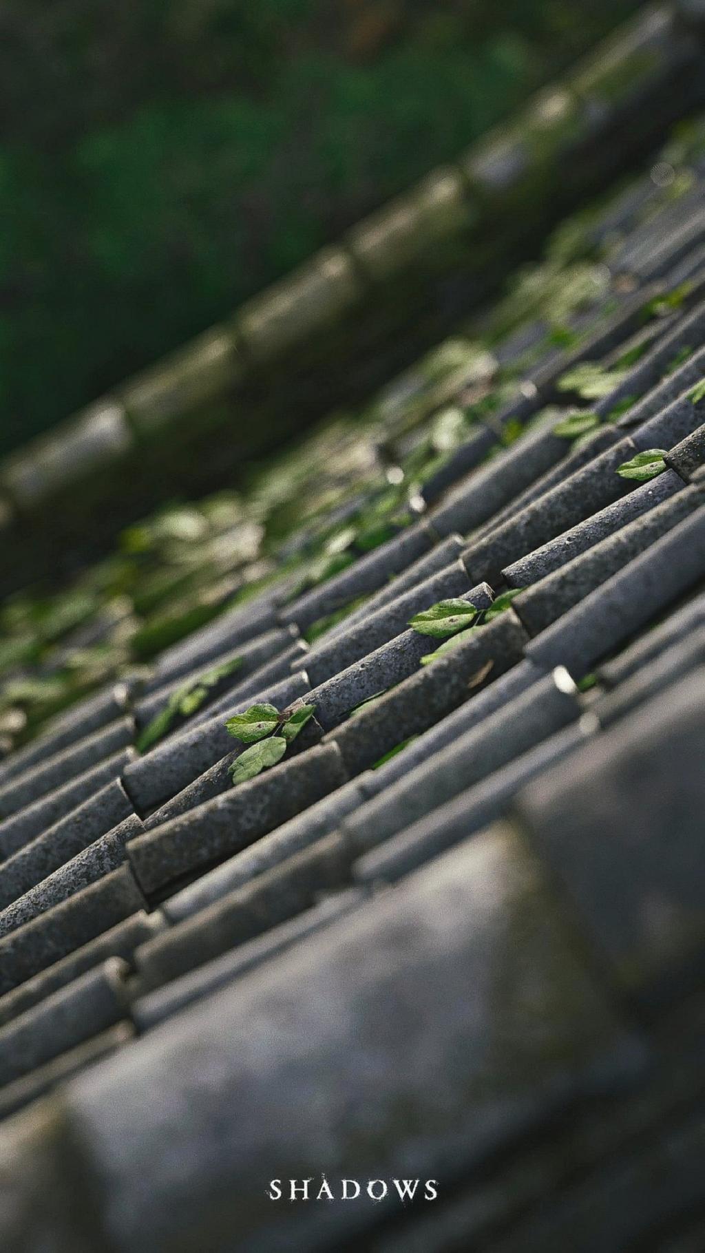 《刺客信条：影》风暴系统获赞 手机和电脑壁纸下载
