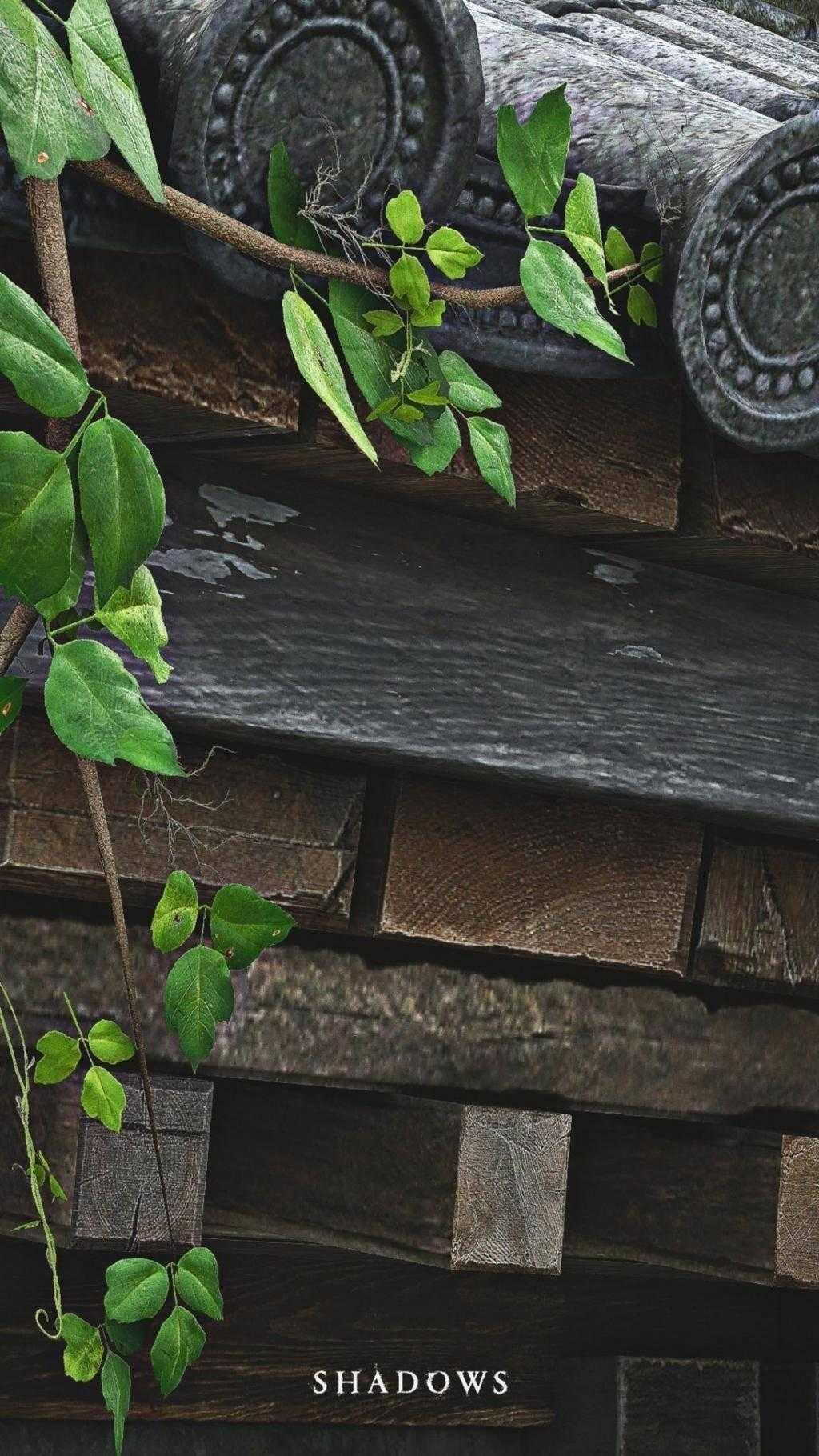 《刺客信条：影》风暴系统获赞 手机和电脑壁纸下载