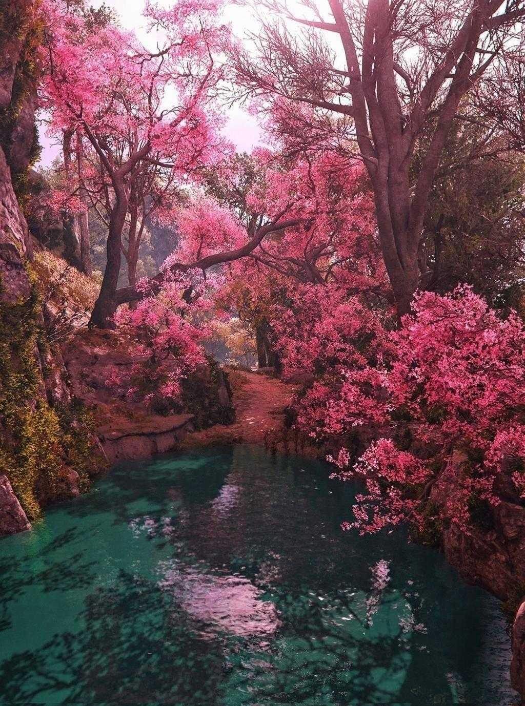 《刺客信条：影》风暴系统获赞 手机和电脑壁纸下载