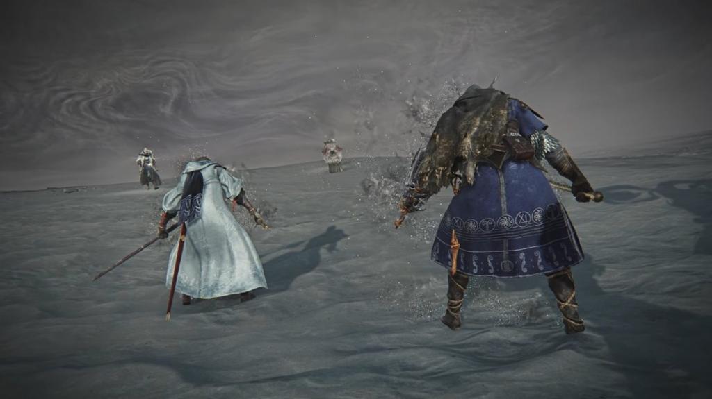 《艾尔登法环：黑夜君临》DLC新职业“学者”预告