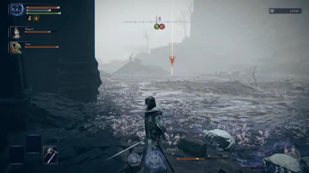 小高的“粪坑”还是回来了！ 《艾尔登法环：黑夜君临》新DLC将实装毒沼地形