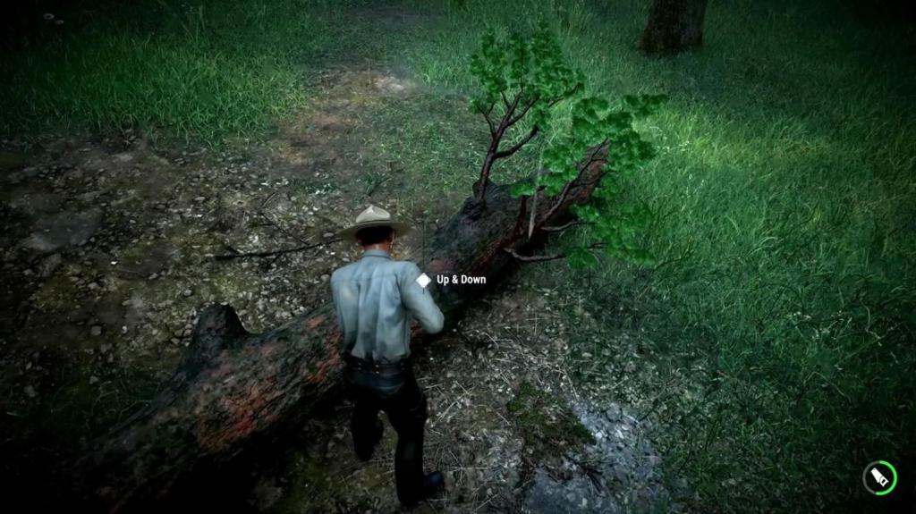 《护林员之路：国家公园模拟器》新预告公布