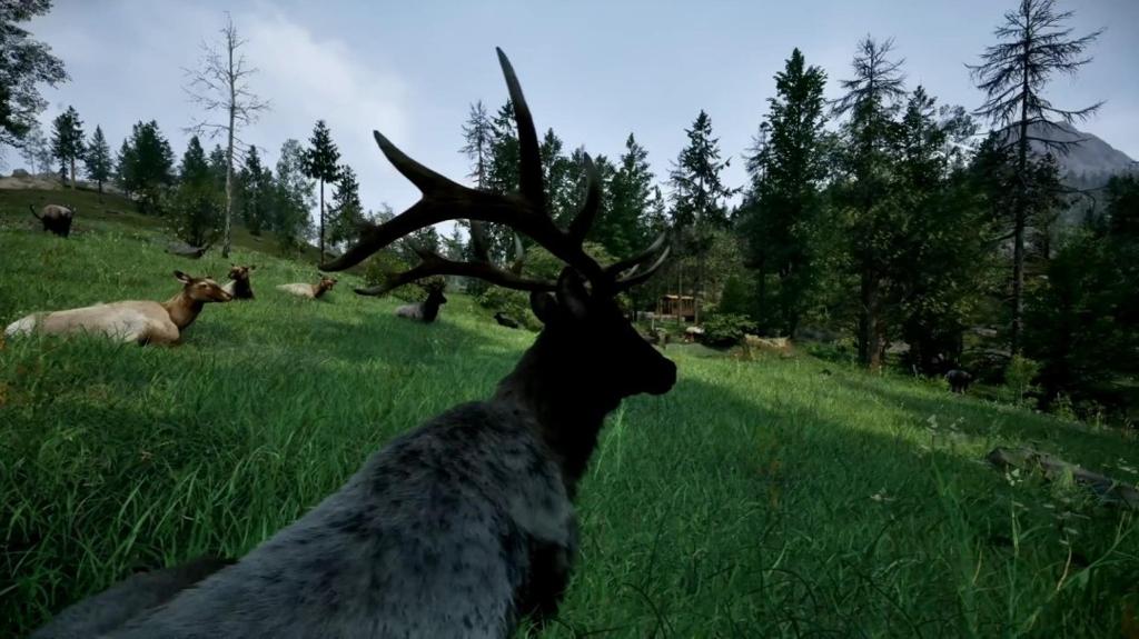 《护林员之路：国家公园模拟器》新预告公布