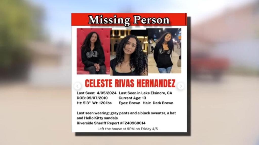 前《堡垒之夜》玩家D4vd涉嫌谋杀14岁少女被捕