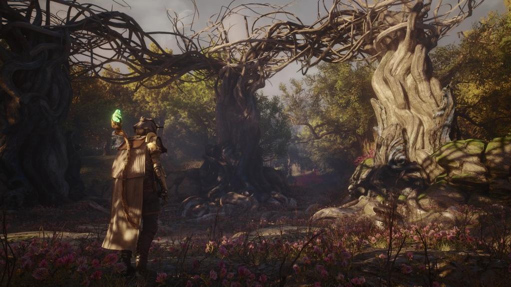 《星际战甲》开发商奇幻动作RPG《Soulframe》新预告